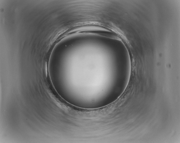 X0000073860013200608101302