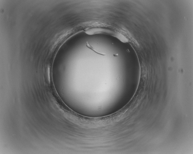 X0000073860014200608101302