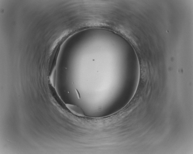 X0000073860015200608101302