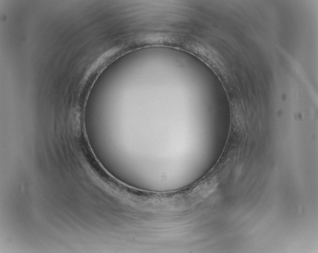 X0000073860016200608101302