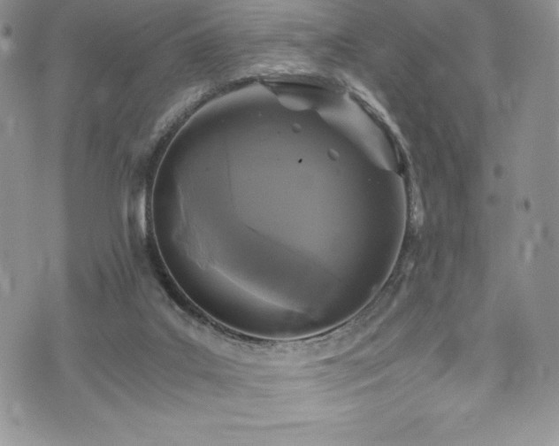 X0000073860019200608101302