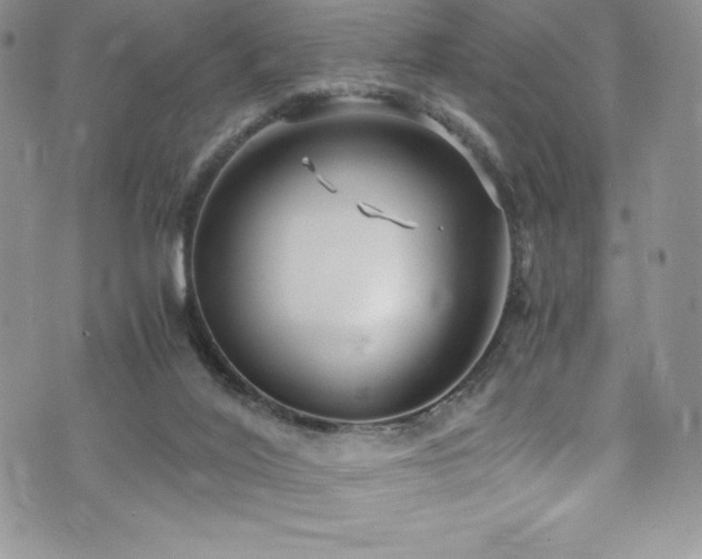 X0000073860020200608101302