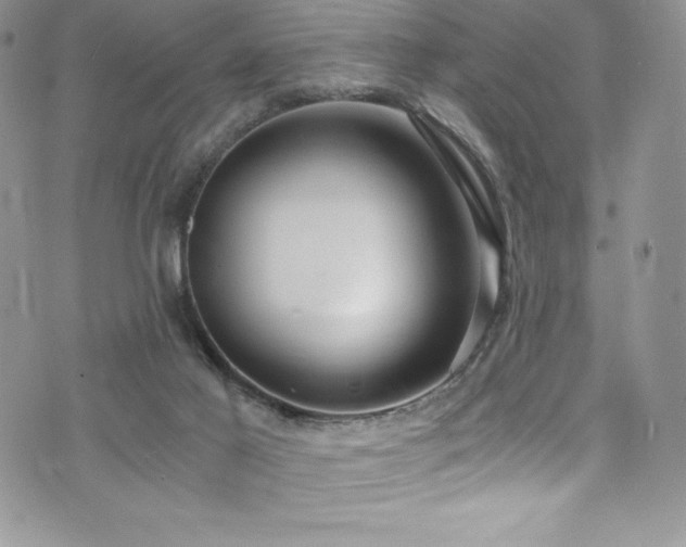 X0000073860021200608101302