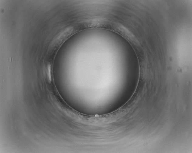 X0000073860022200608101302