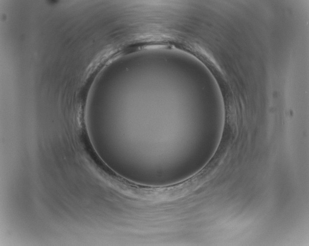 X0000073860023200608101302