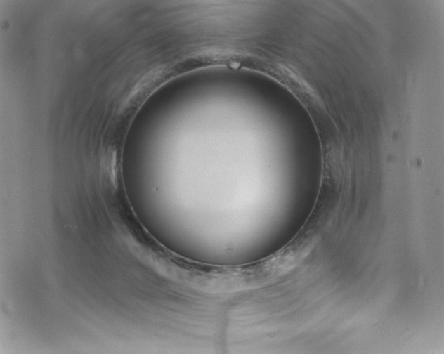 X0000073860024200608101302