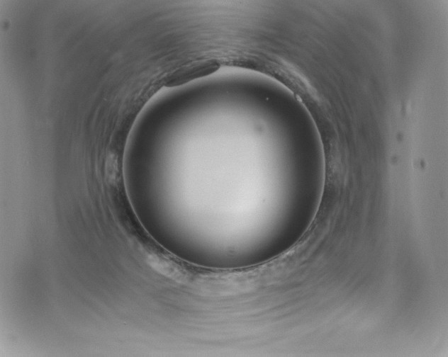 X0000073860025200608101302