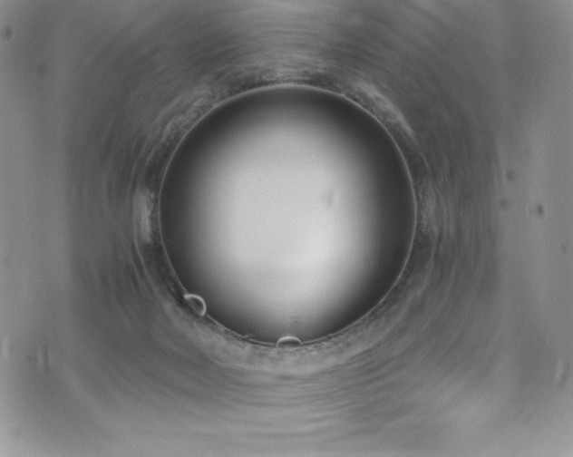 X0000073860026200608101302