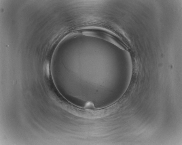 X0000073860027200608101302