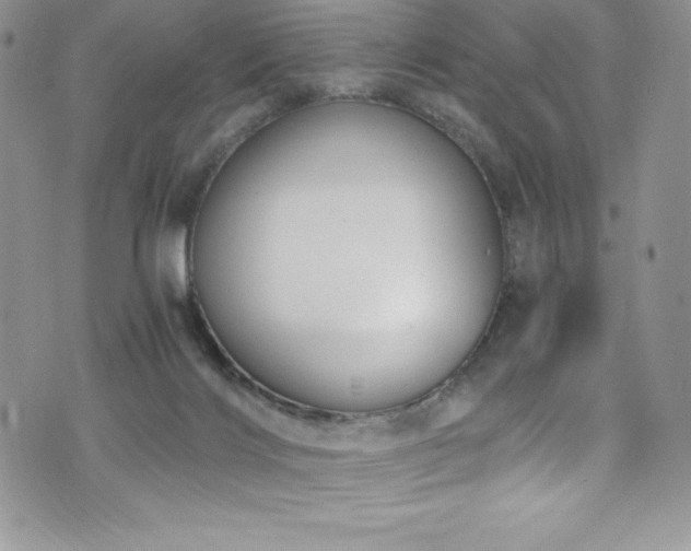 X0000073860028200608101302