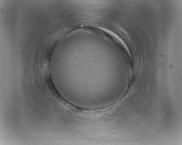 X0000073860029200608101302