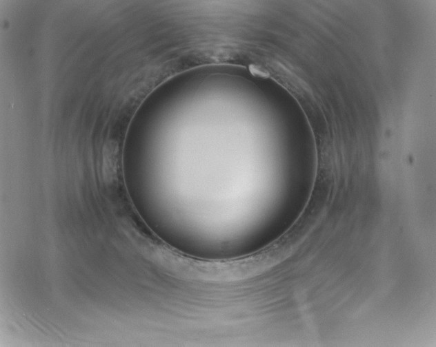 X0000073860030200608101302