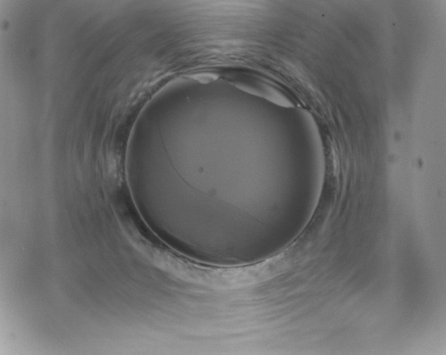 X0000073860031200608101302