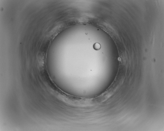 X0000073860032200608101302