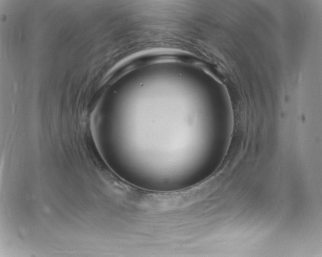 X0000073860033200608101302