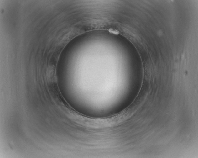 X0000073860034200608101302