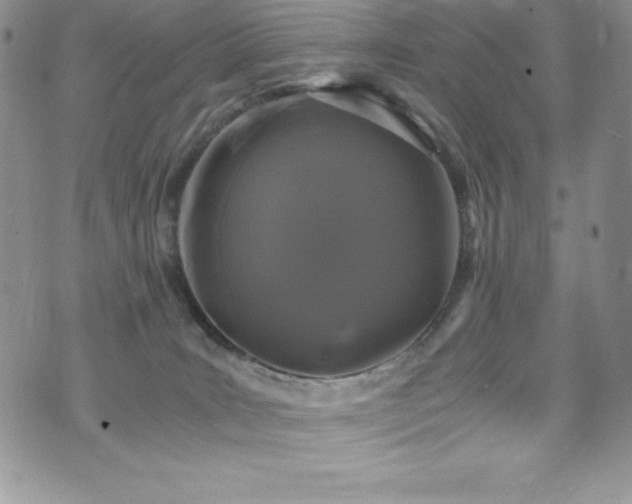 X0000073860035200608101302