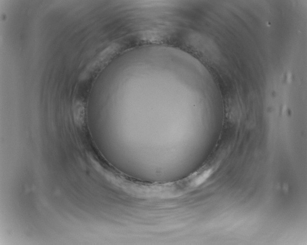 X0000073860036200608101302