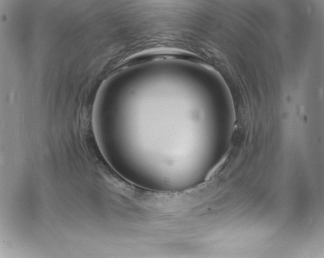 X0000073860037200608101301