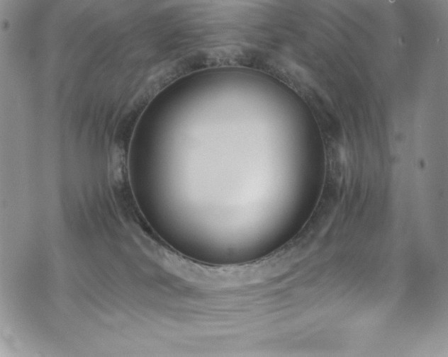 X0000073860038200608101301