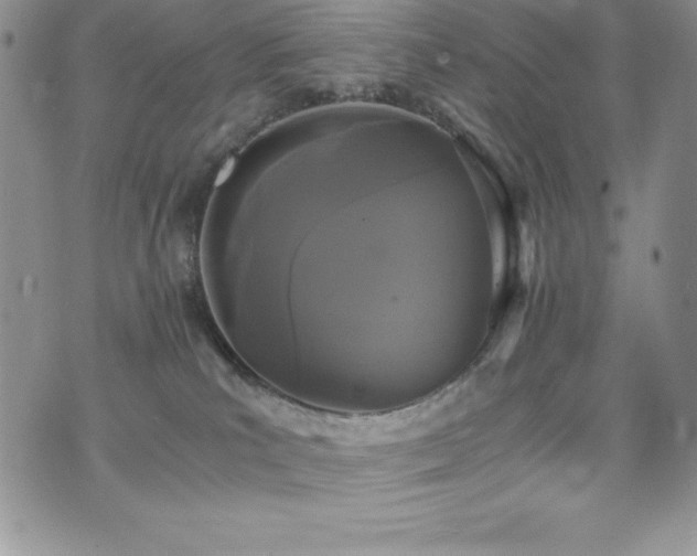 X0000073860039200608101301