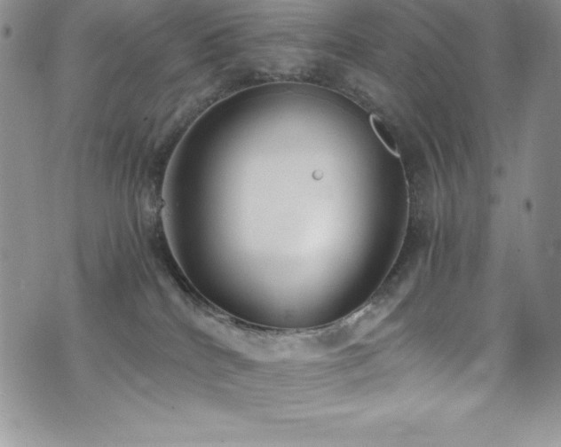 X0000073860040200608101301