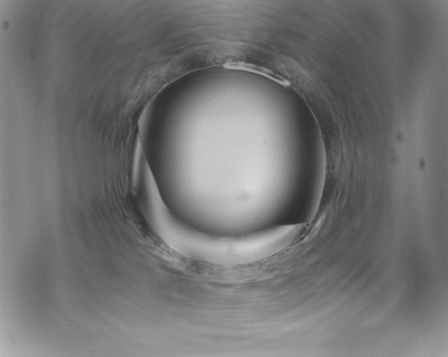 X0000073860041200608101301