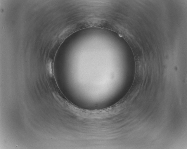 X0000073860042200608101301