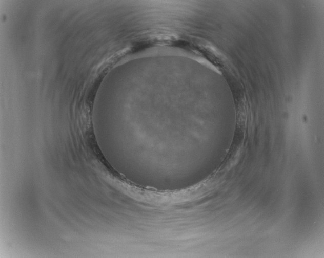 X0000073860043200608101301