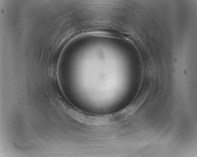 X0000073860044200608101301