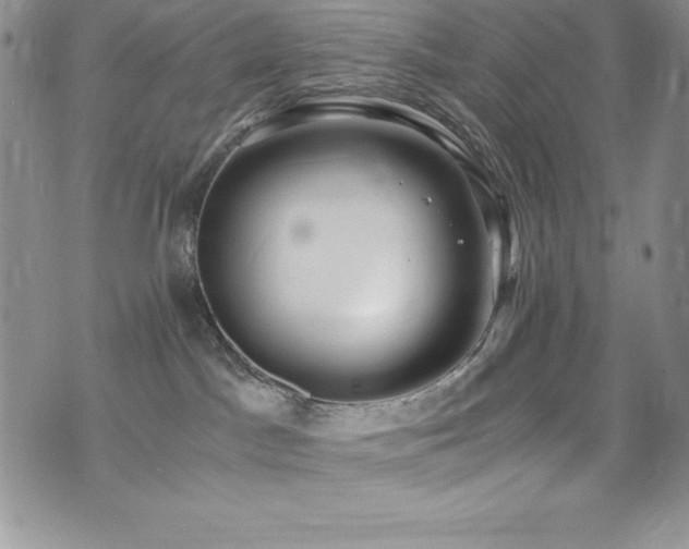 X0000073860045200608101301