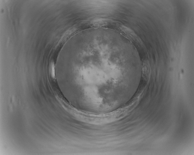 X0000073860046200608101301