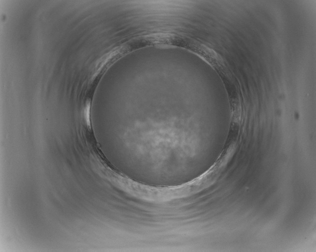 X0000073860047200608101301