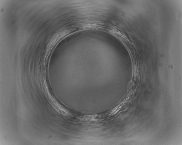 X0000073860049200608101301