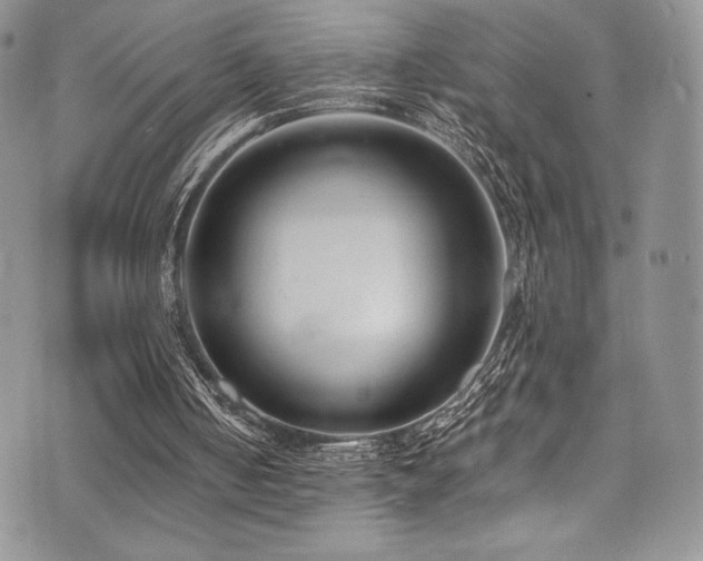 X0000073860050200608101301