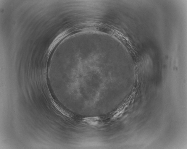 X0000073860051200608101301