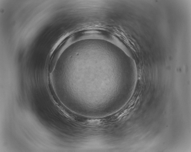 X0000073860052200608101301