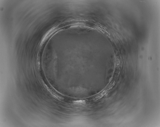 X0000073860053200608101301