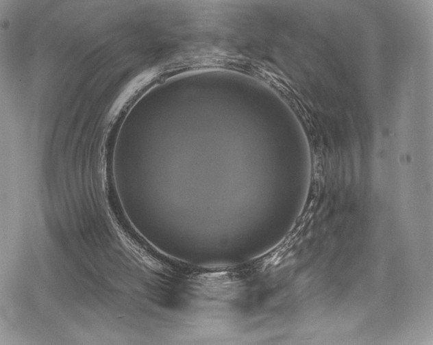 X0000073860054200608101301