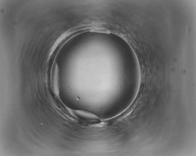 X0000073860056200608101301