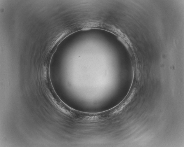 X0000073860057200608101301