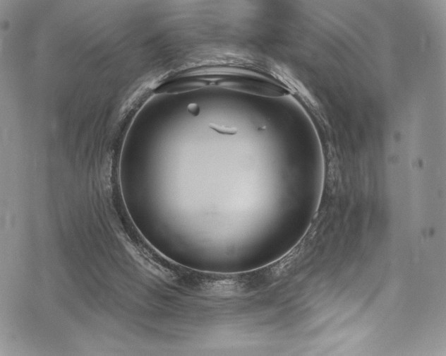 X0000073860058200608101301