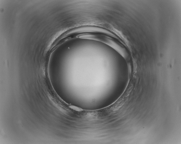 X0000073860060200608101301