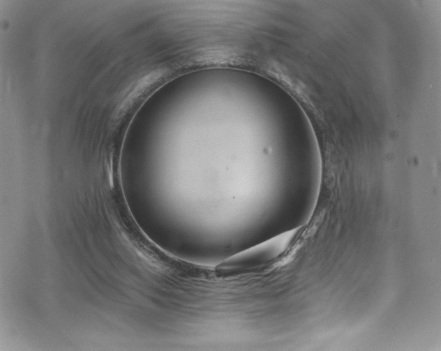 X0000073860062200608101301