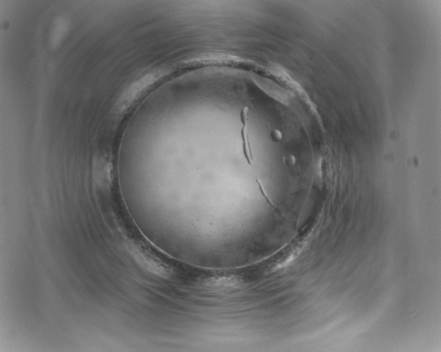 X0000073860063200608101301