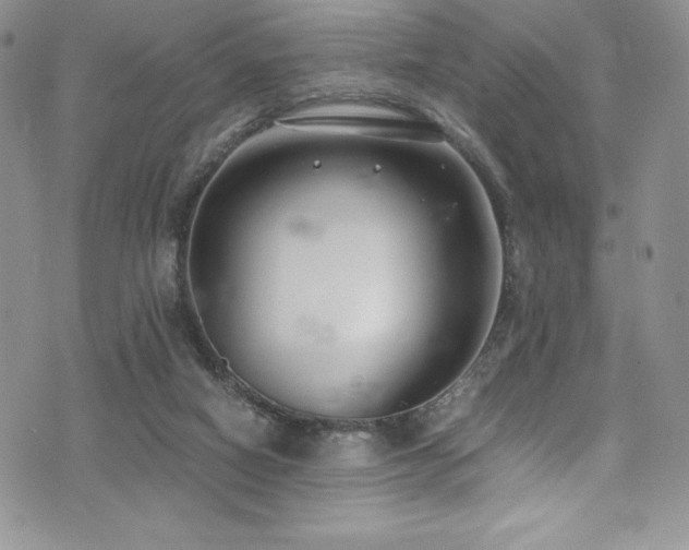 X0000073860066200608101301