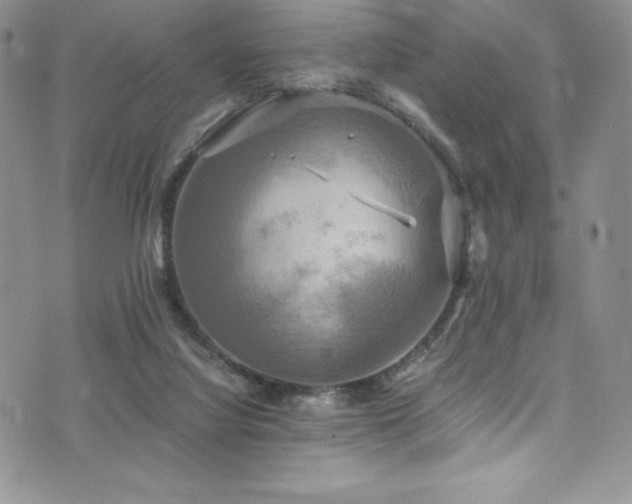 X0000073860068200608101301