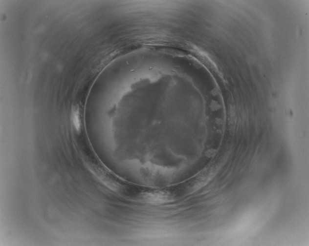 X0000073860069200608101301