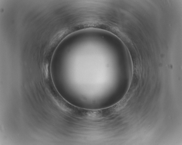 X0000073860070200608101301