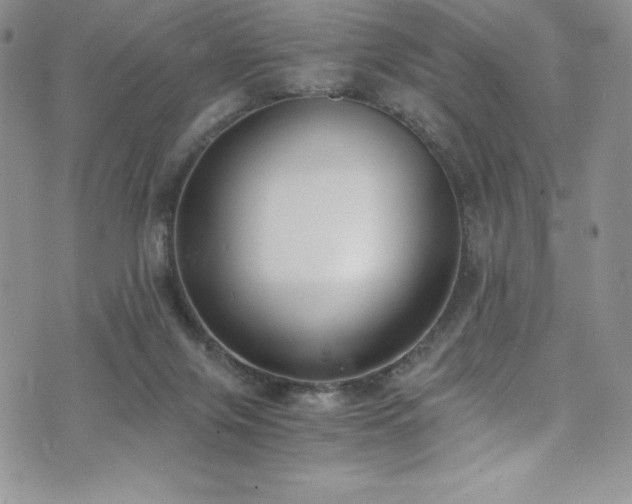 X0000073860071200608101301